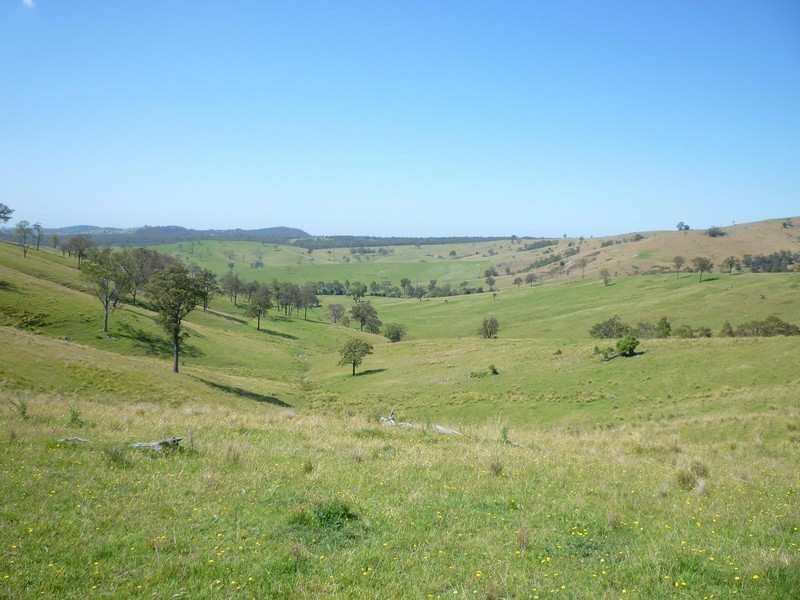 1394  Moonabung Creek, Webbers Creek Road, Paterson NSW 2421