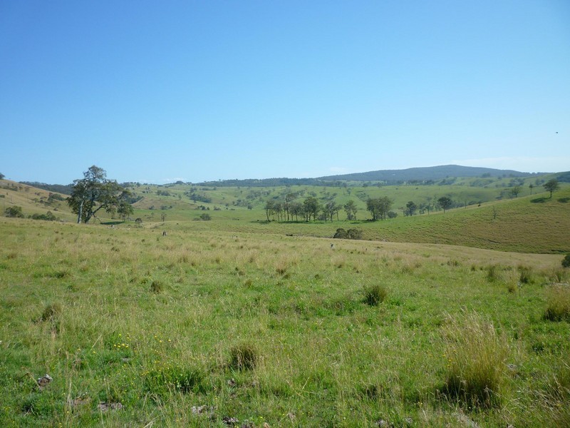 1394  Moonabung Creek, Webbers Creek Road, Paterson NSW 2421