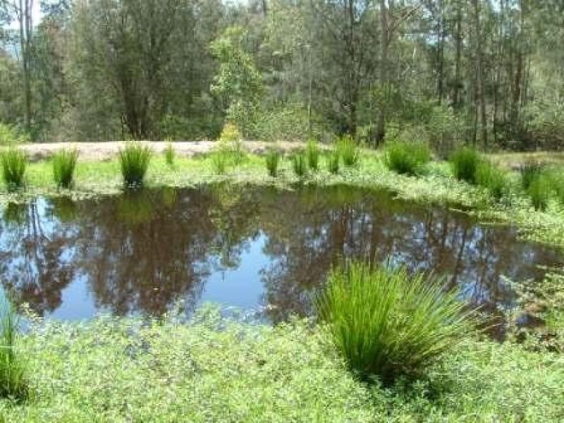 Lot 24 Lambs Valley Road, Lambs Valley NSW 2335