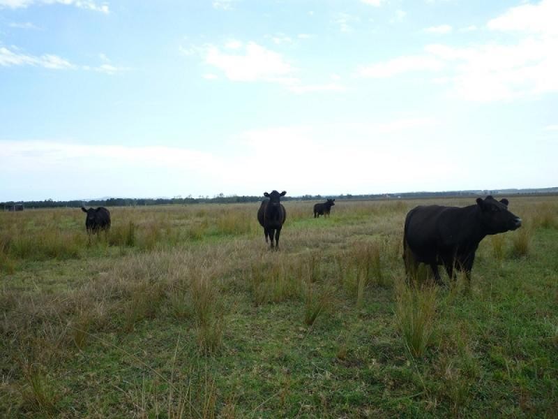 124  Woodberry Road, Millers Forest NSW 2324