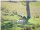 677 Anambah Road, Gosforth NSW 2320