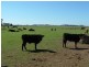240  Scotch Creek Road, Millers Forest NSW 2324