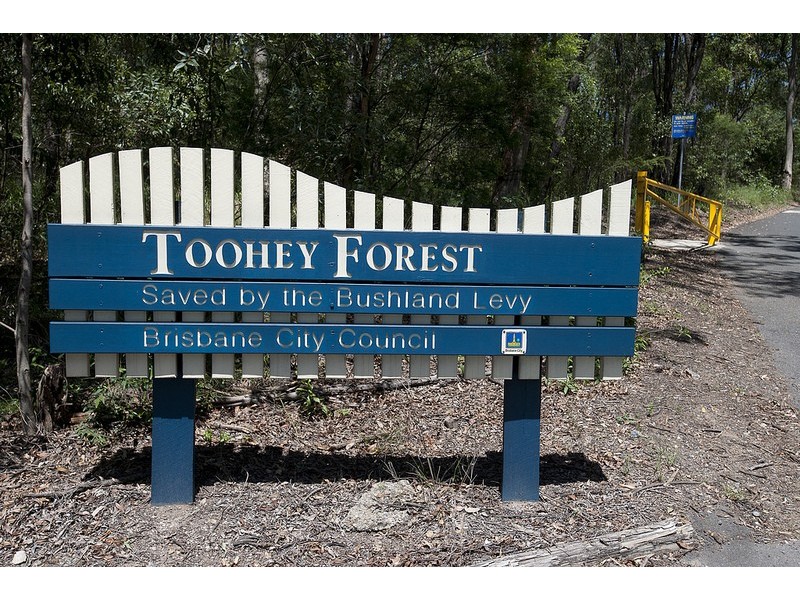 206 Mayfield Road, Tarragindi QLD 4121