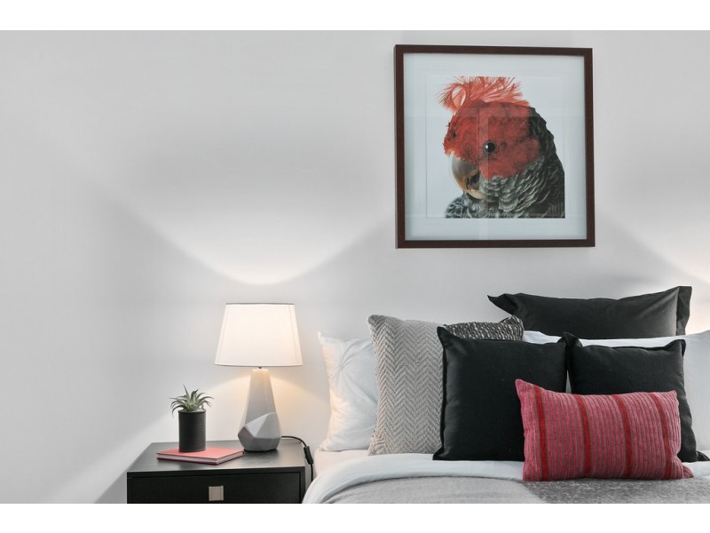 36 Durimbil Street, Camp Hill QLD 4152