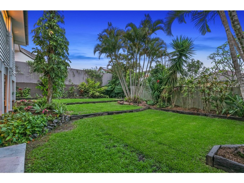 501 Cavendish Road, Coorparoo QLD 4151