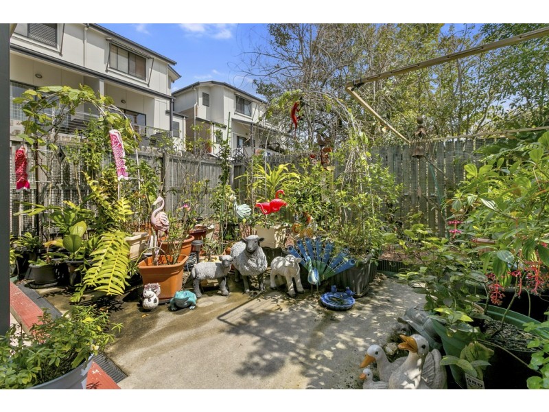 3/11 Cardross Street, Yeronga QLD 4104