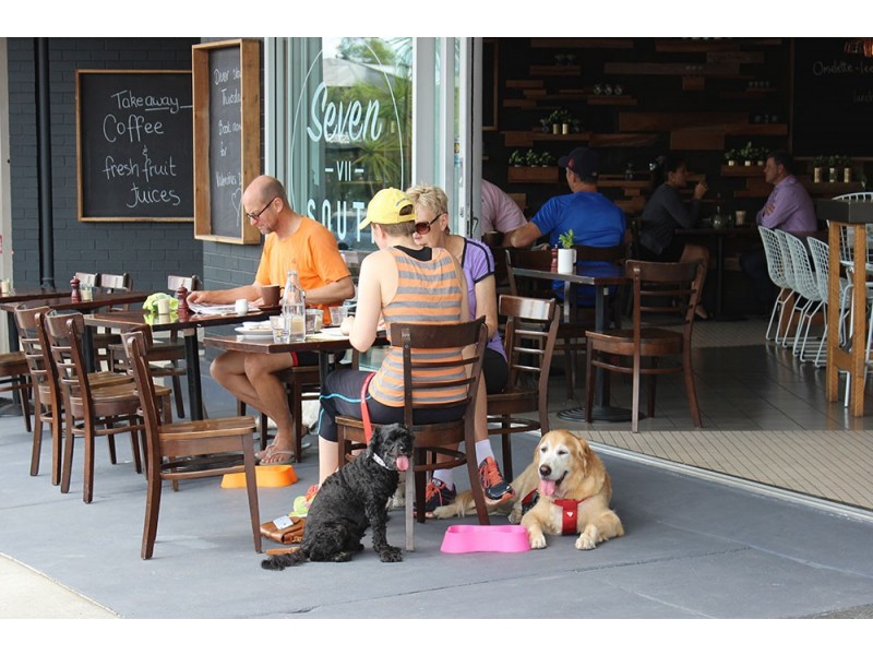 3/11 Cardross Street, Yeronga QLD 4104