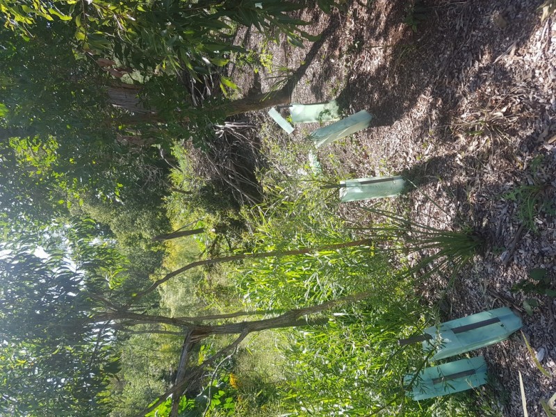 Lot 2, 266 Beenleigh Road, Sunnybank QLD 4109