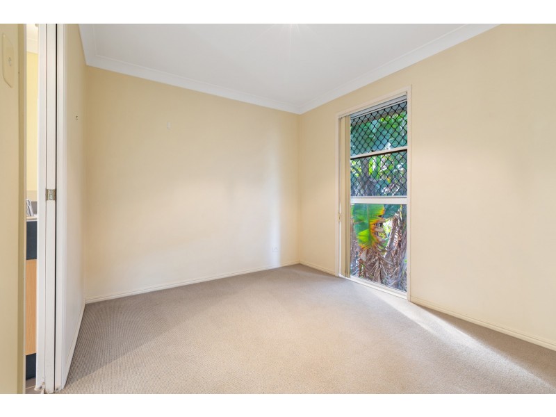 1/117 Ekibin Road, Annerley QLD 4103