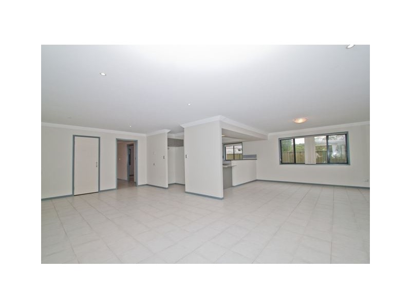 20 Mizen Place, Holland Park West QLD 4121