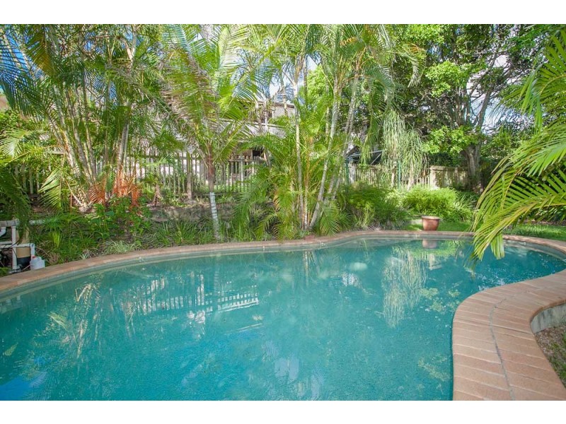 31 Heaslop Terrace, Annerley QLD 4103