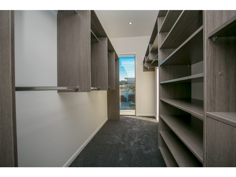 72 McConnell Street, Bulimba QLD 4171