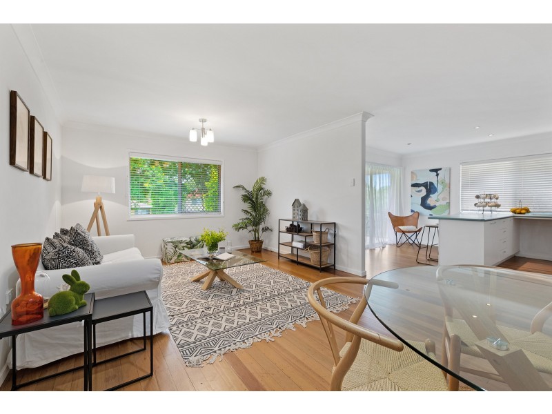 117 Highgate Street, Coopers Plains QLD 4108