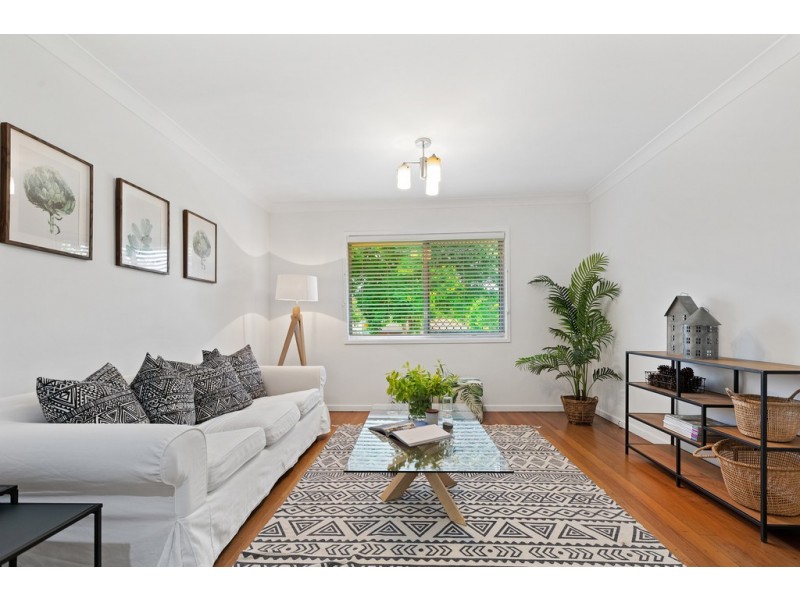 117 Highgate Street, Coopers Plains QLD 4108