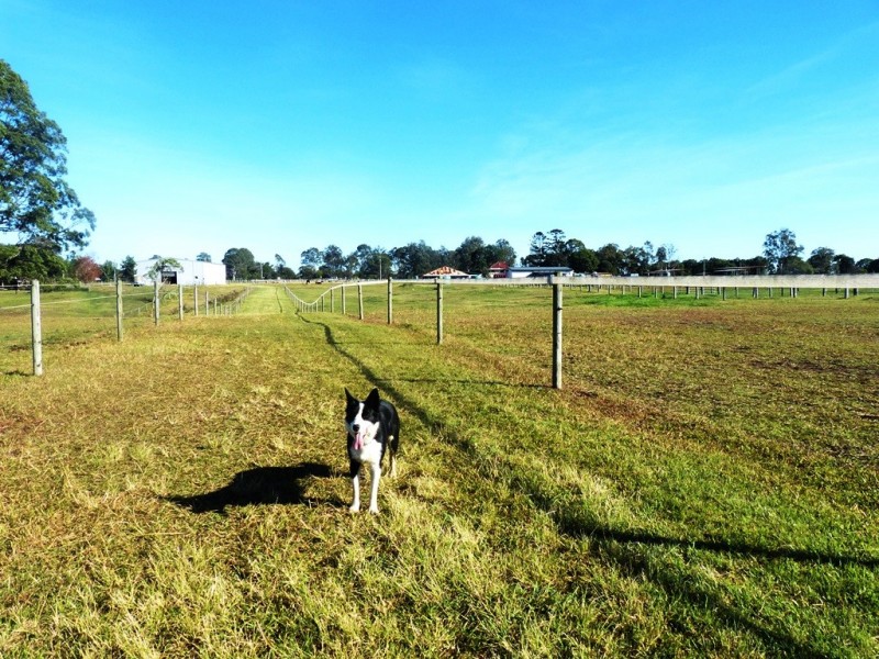 303 Waterford-Tamborine Road, Waterford QLD 4133