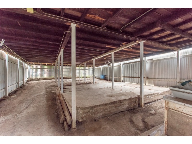 62 Baron Street, Greenslopes QLD 4120