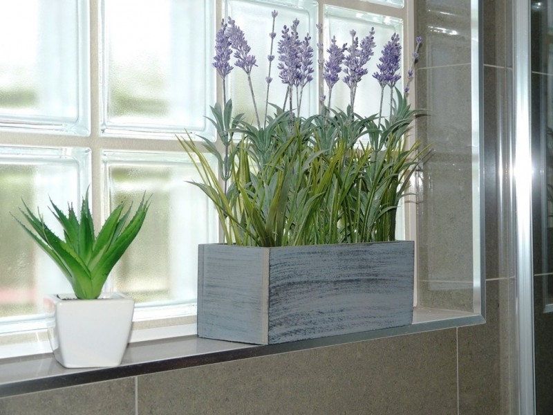 5/51 Elizabeth Street, Acacia Ridge QLD 4110