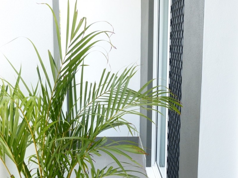 5/51 Elizabeth Street, Acacia Ridge QLD 4110