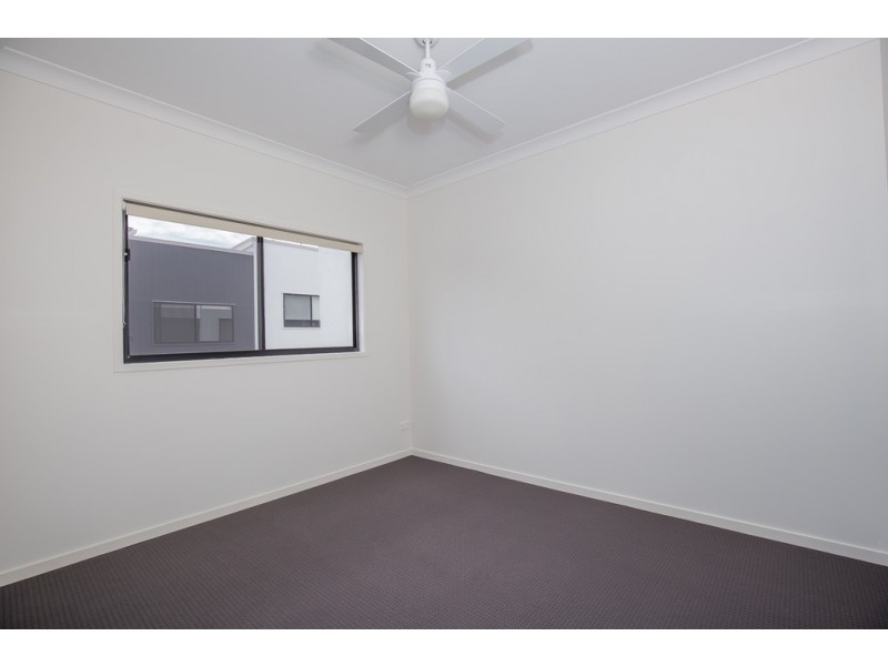 6/37 Manson Parade, Yeronga QLD 4104