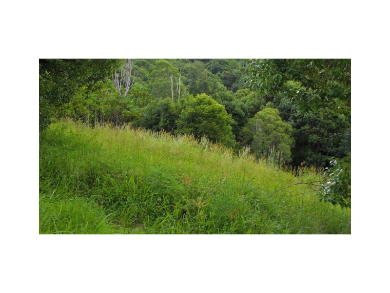 Lot 12 Thomas Waters Road, Tallebudgera Valley QLD 4228