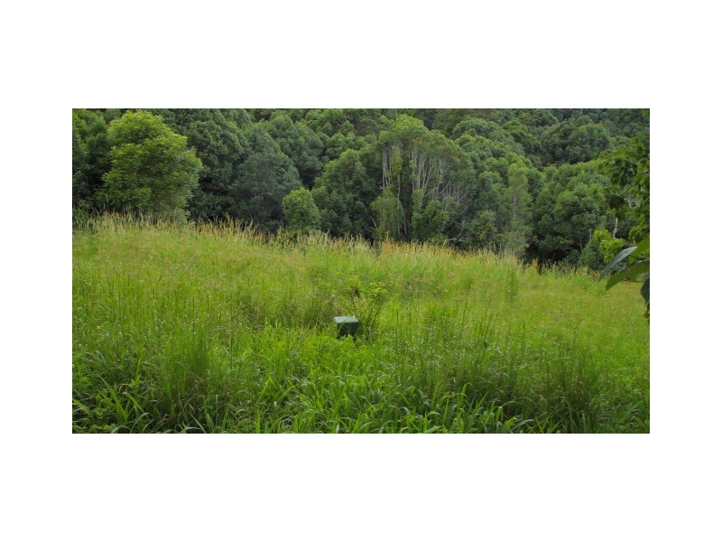 Lot 12 Thomas Waters Road, Tallebudgera Valley QLD 4228