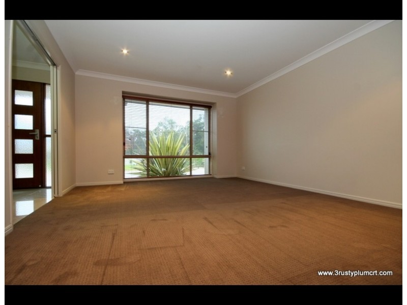 3 Rusty Plum Court, Reedy Creek QLD 4227