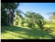 268 Tallebudgera Creek Road, Tallebudgera Valley QLD 4228