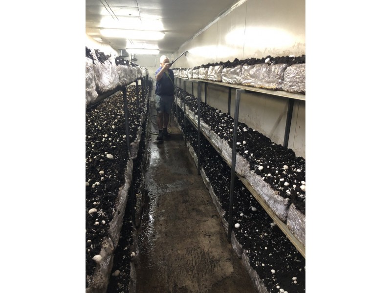 370 Woodburn-Evans Head Road, Evans Head NSW 2473