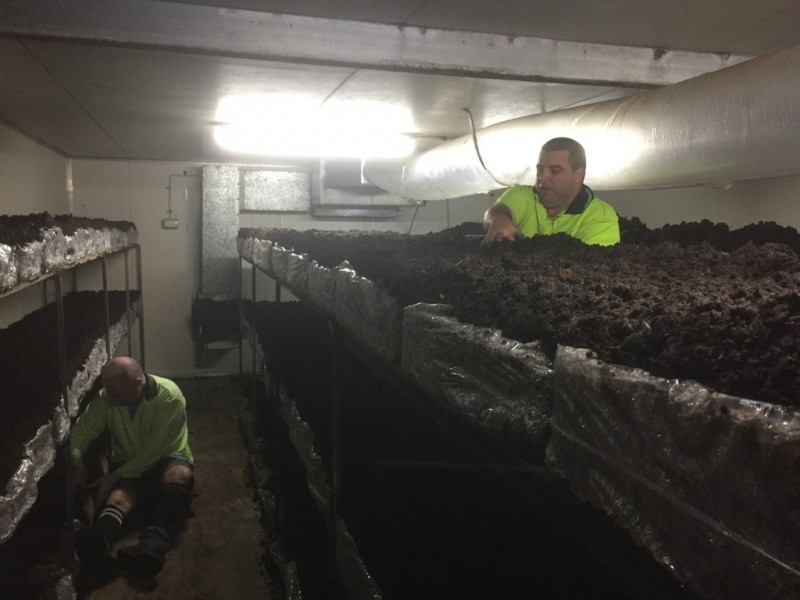 370 Woodburn-Evans Head Road, Evans Head NSW 2473