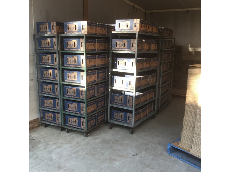 370 Woodburn-Evans Head Road, Evans Head NSW 2473