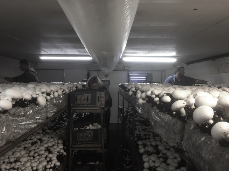 370 Woodburn-Evans Head Road, Evans Head NSW 2473