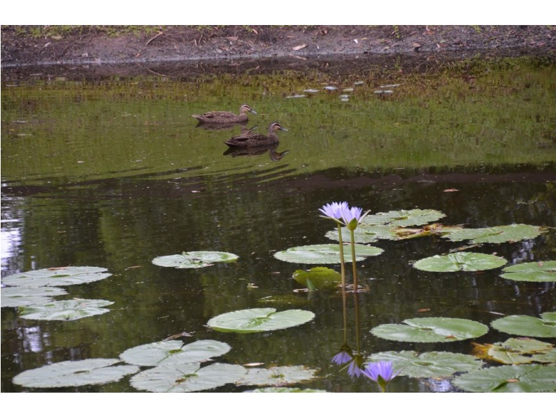 370 Woodburn-Evans Head Road, Evans Head NSW 2473