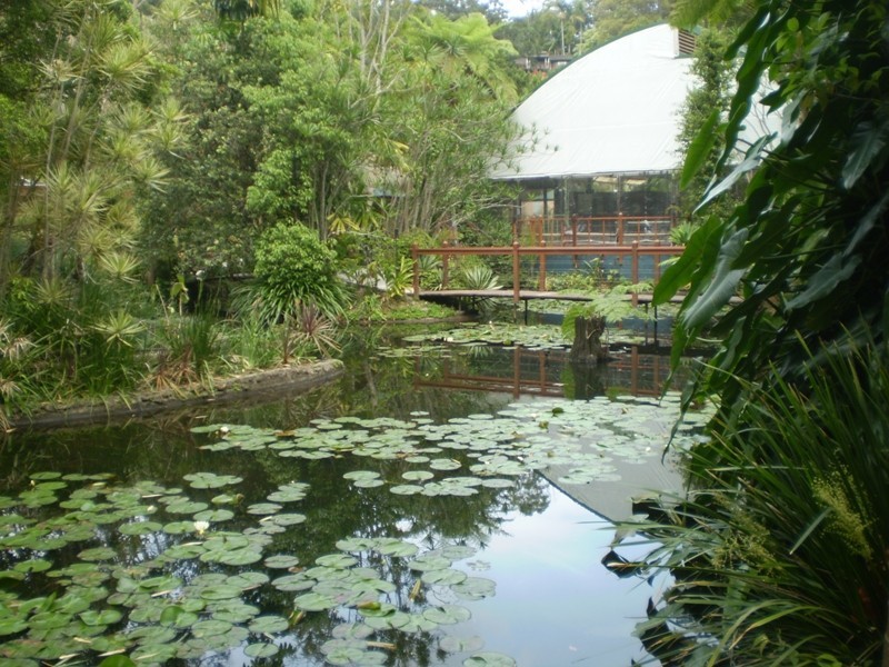 Currumbin Valley QLD 4223