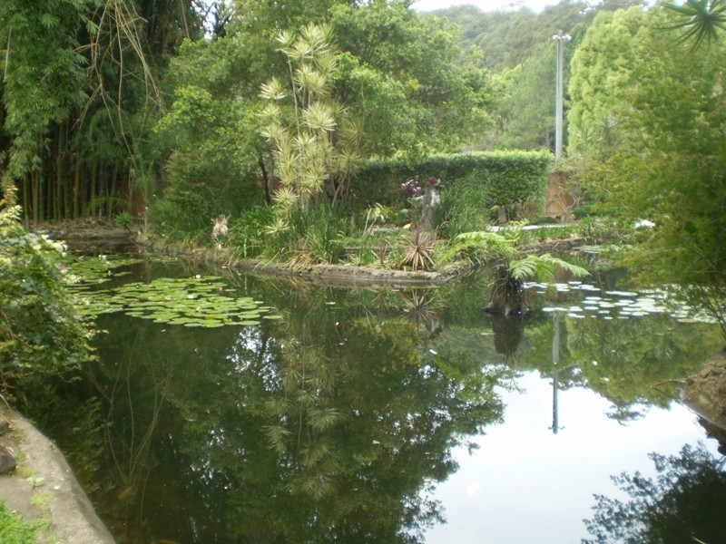 Currumbin Valley QLD 4223