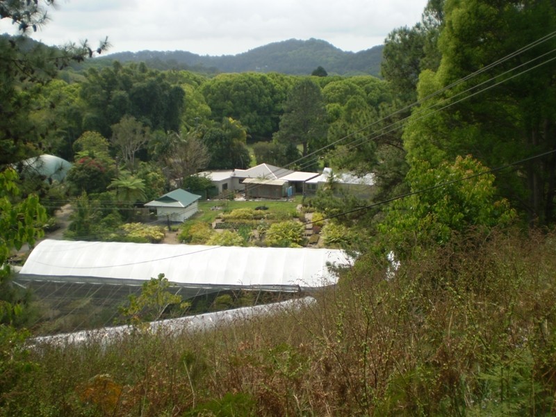 Currumbin Valley QLD 4223