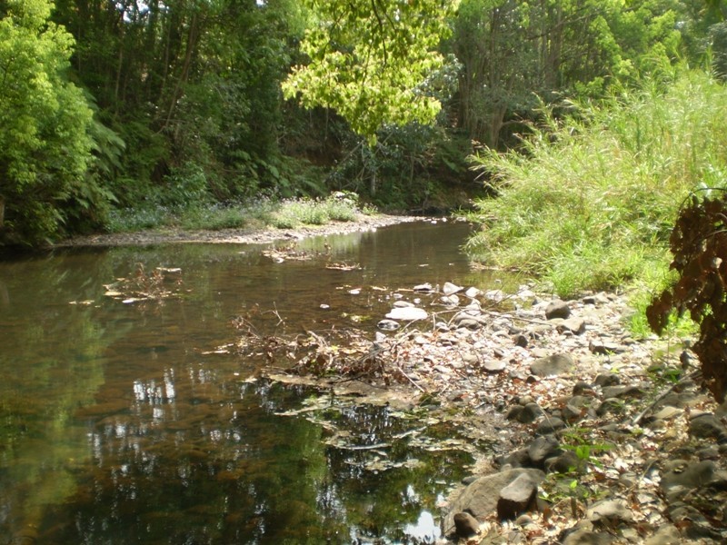 Currumbin Valley QLD 4223