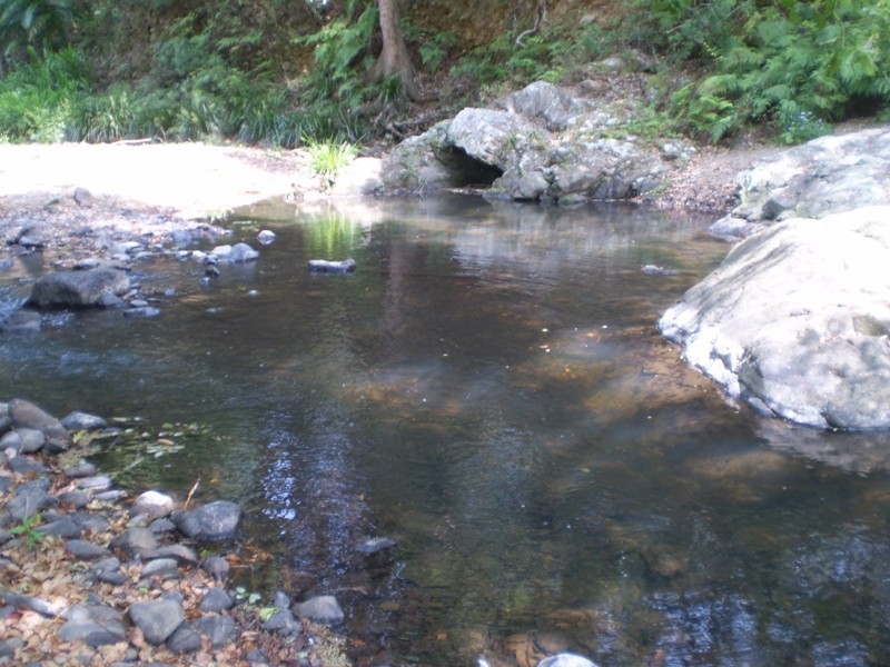 Currumbin Valley QLD 4223