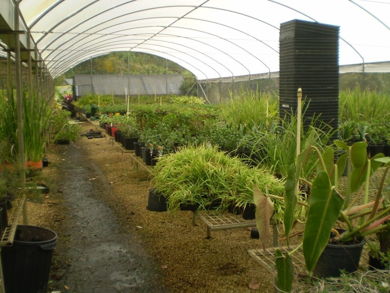 Currumbin Valley QLD 4223