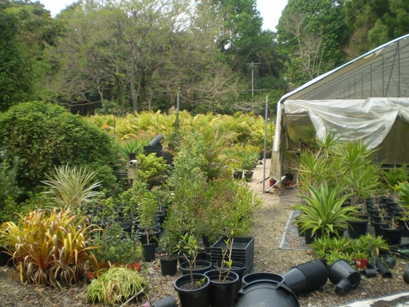 Currumbin Valley QLD 4223