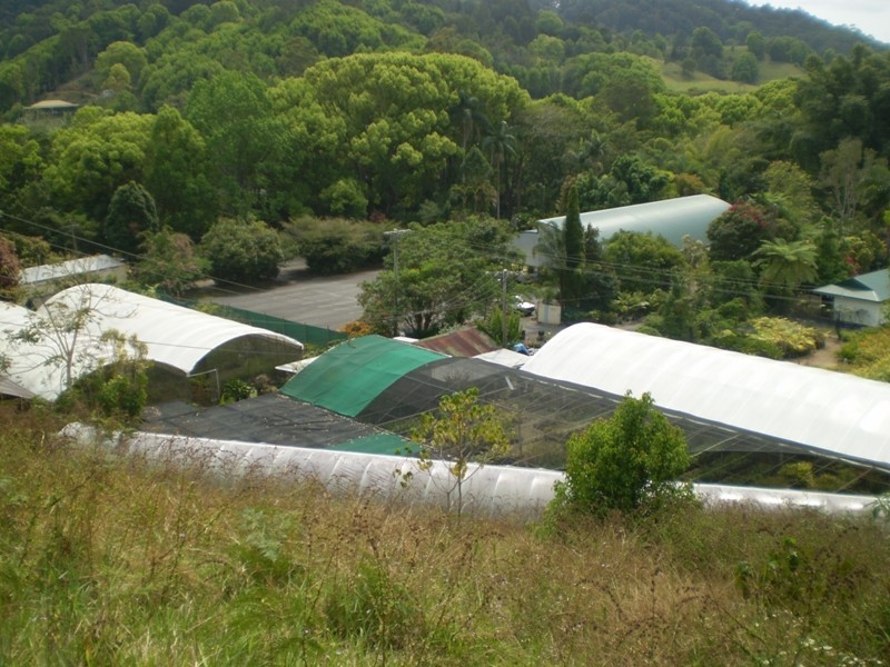 Currumbin Valley QLD 4223