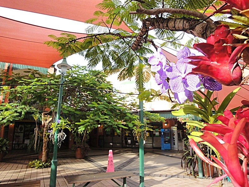 Mudgeeraba QLD 4213