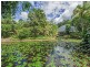 Currumbin Valley QLD 4223