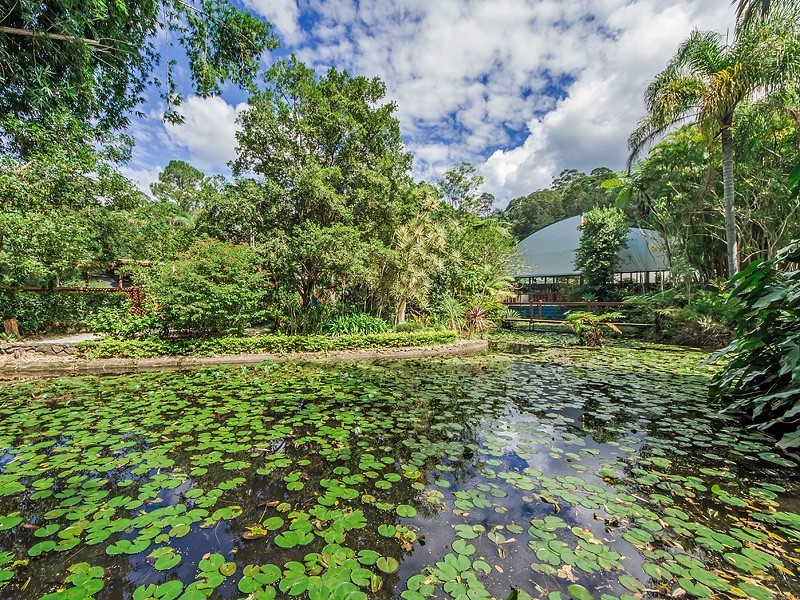 Currumbin Valley QLD 4223