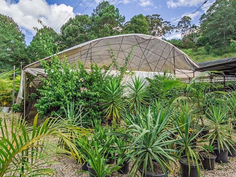 Currumbin Valley QLD 4223
