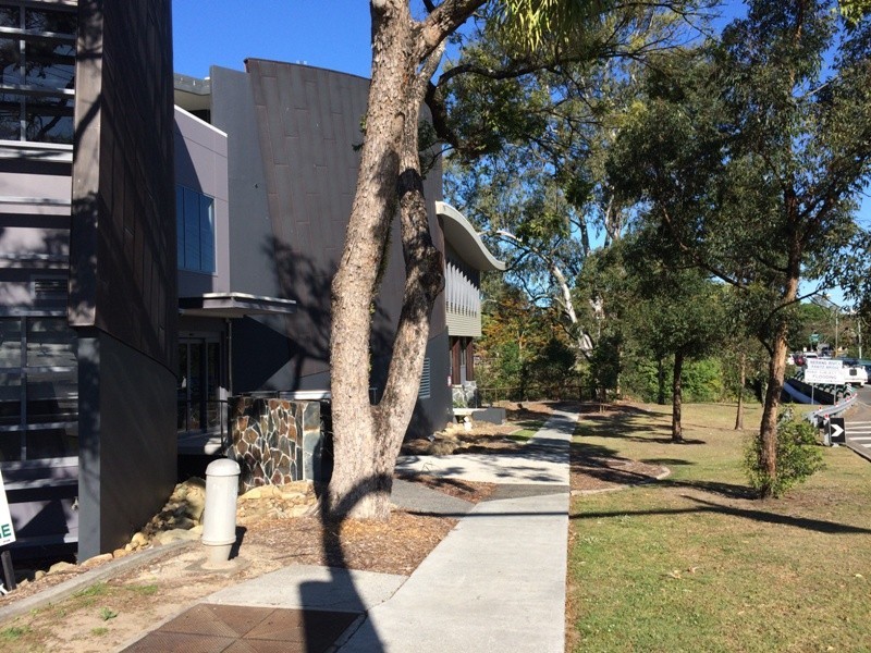 34 Nerang Street, Nerang QLD 4211