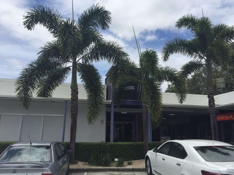 Robina QLD 4226
