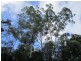 Boreen Point QLD 4565