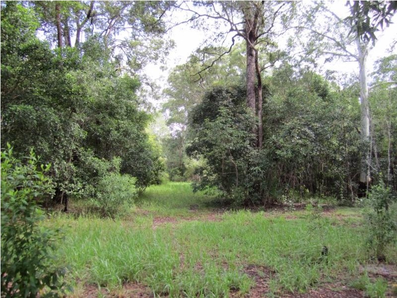 Boreen Point QLD 4565