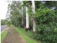 Boreen Point QLD 4565