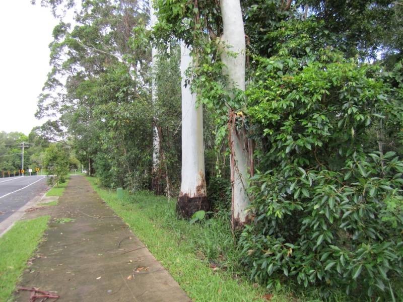 Boreen Point QLD 4565